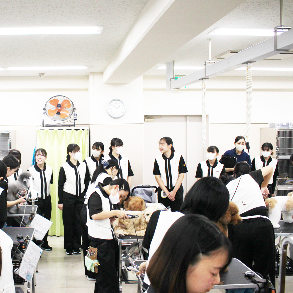 １年生の生徒が２年生のトリミングを見学♪